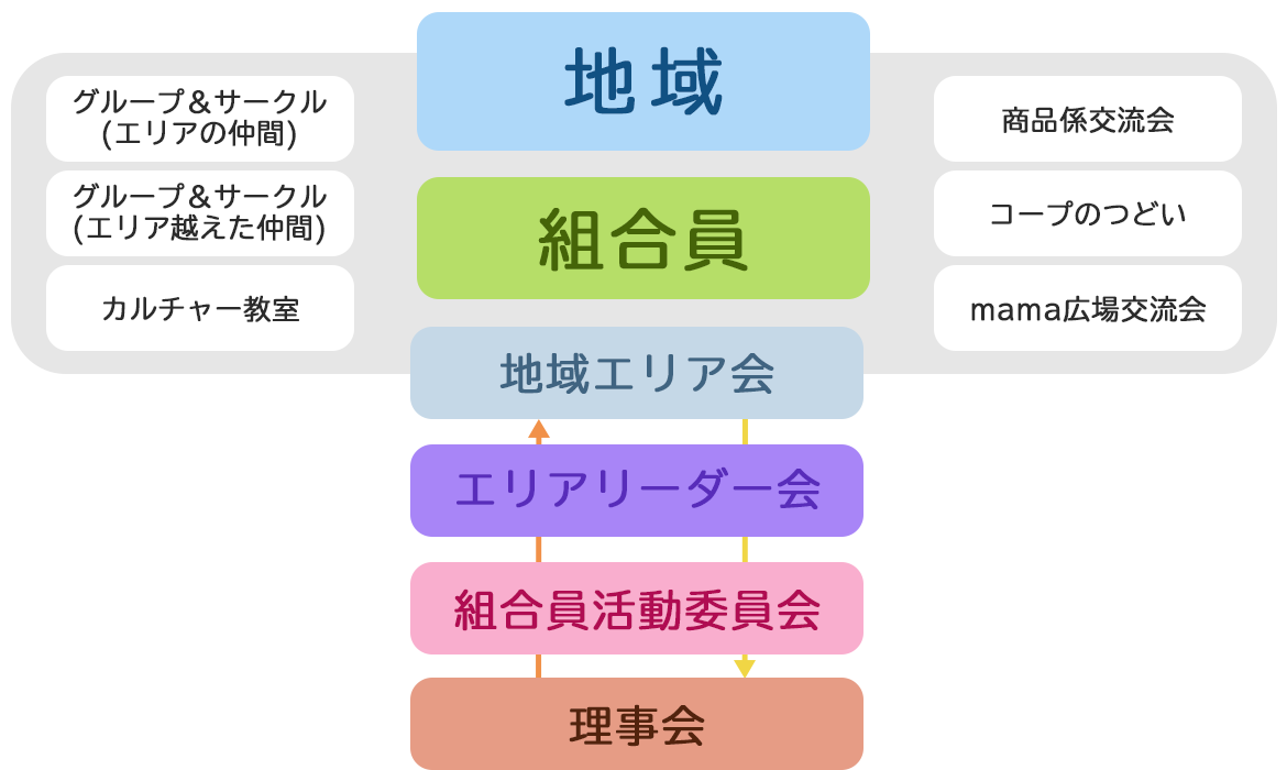 組合員活動って？《どんな仕組み》編